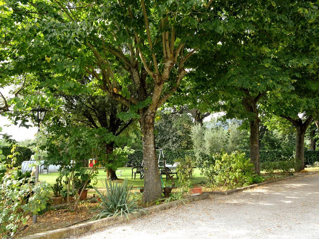 Bed and Breakfast Casa Dina Terontola Zewnętrze zdjęcie